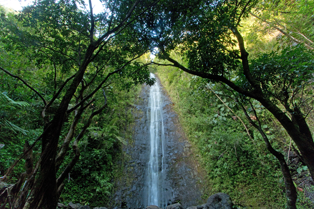 Manoa Falls, Oahu