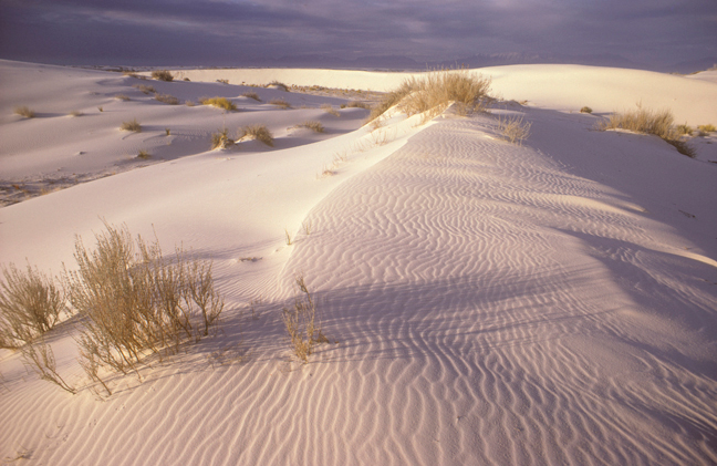White Sands, New Mexico