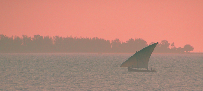 Zanzibar dhow at sunset, Tanzania