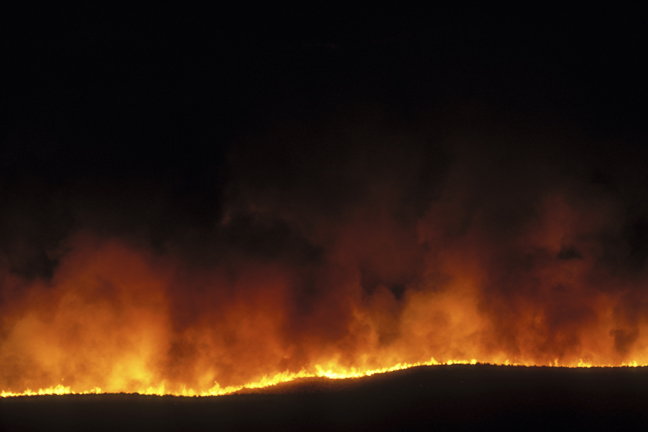 Grass fire, Masai Mara Game Reserve, Keny