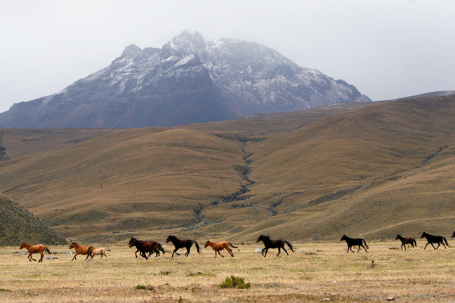 Zanzibar dhow at sunset, Tanzania