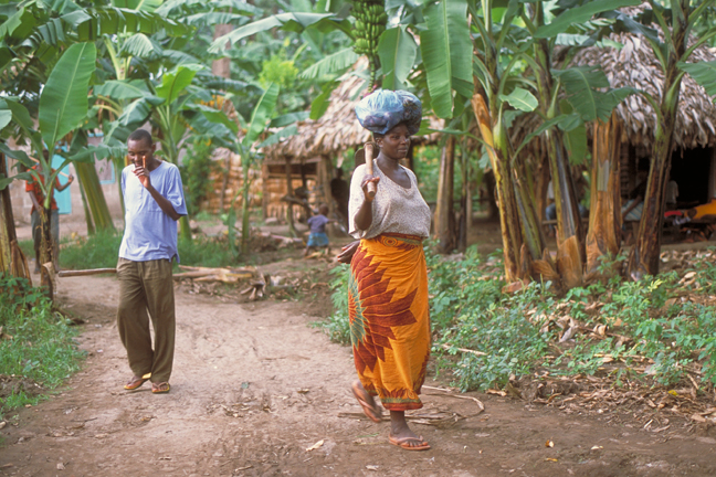 Day's end, Mosquito Creek, Tanzania